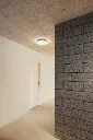 Visualisierung_Ceiling surface_ROSS_Wever Ducré.f4738bad.webp