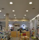 506_FC.webp