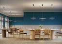 PLETTRO CEILING S