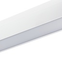 RAIL SUSPENSION