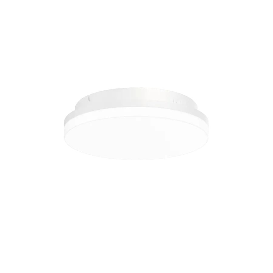 ROSS 1.0 Ø 260MM