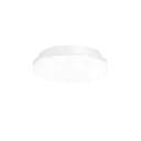 ROSS 1.0 Ø 260MM