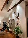 clippo_optic_white_dls_lighting_002.webp