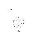 CARINA-15_C.webp