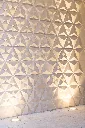 ambient-scotty-6-006.webp