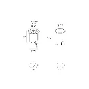 z_scotty-6.webp