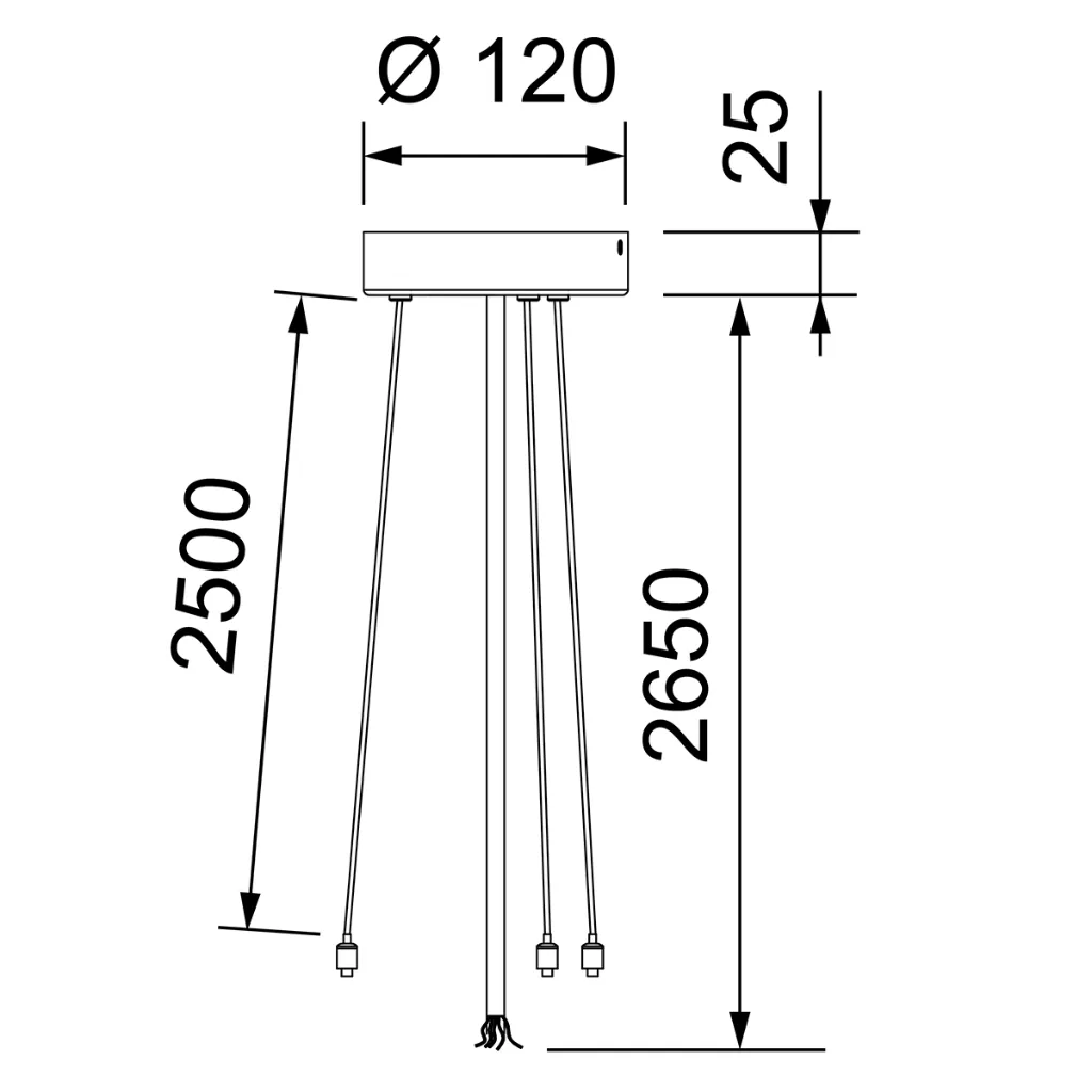 product_M_Venta_Baldachin.webp