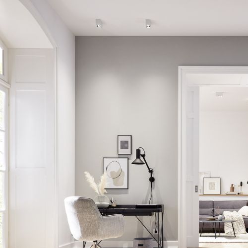 PLANO PETIT SURFACE 1.0
