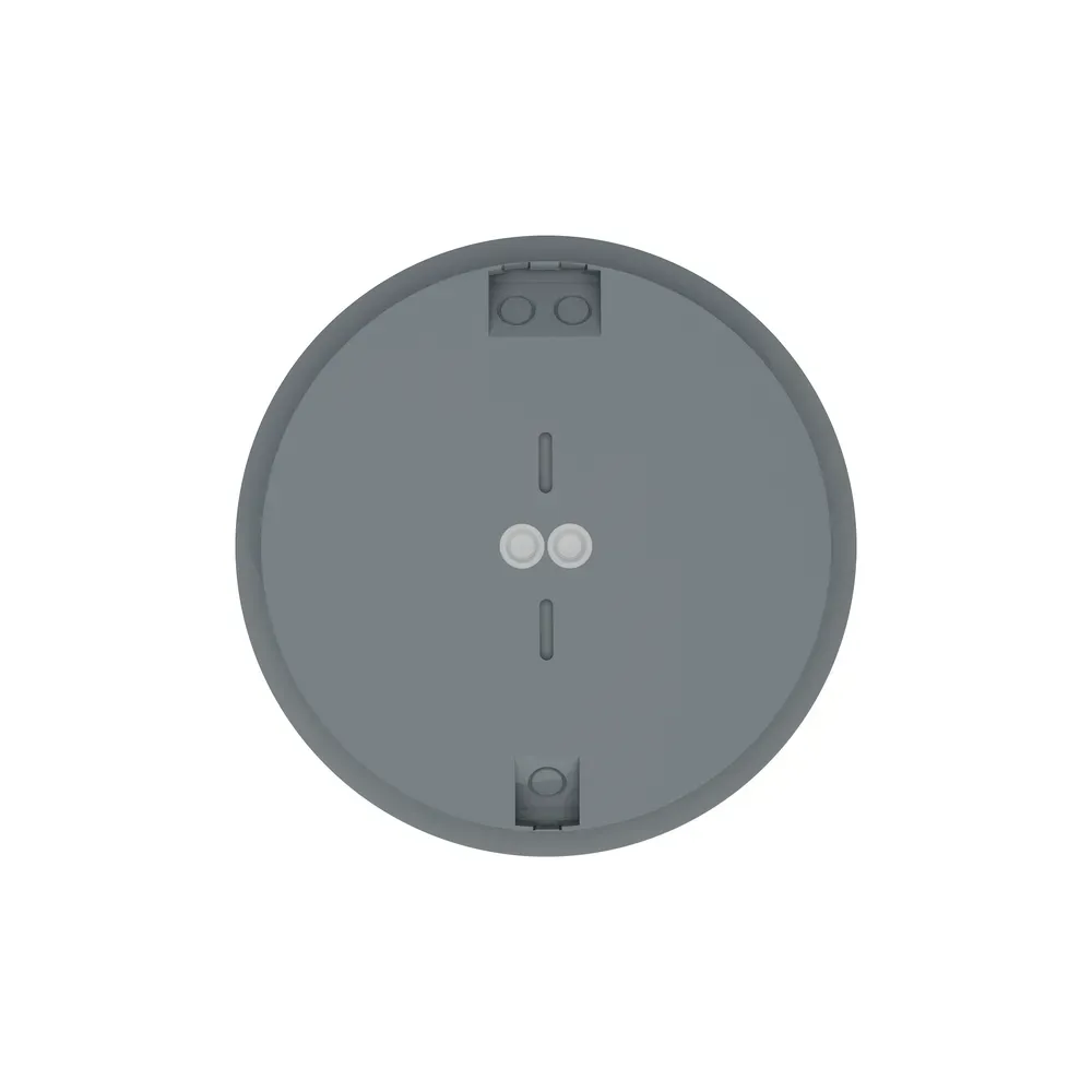 STRIPE_270_ANTH_2.webp
