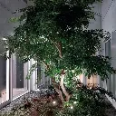 BDK_KIRK1.webp