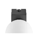 SLV_1010194_D1_RGB.webp