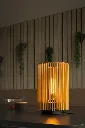 SLV_1010402_1008152_A1_H_RGB.webp