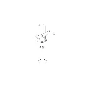 z_francis-in.webp