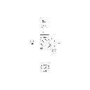 z_francis-68.webp