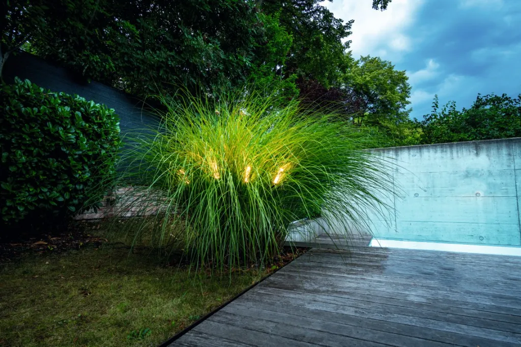 pisa_dls_lighting_208.webp