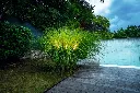pisa_dls_lighting_208.webp