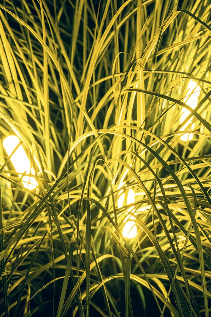 ambient-pisa-001.webp