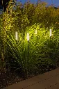 pisa_dls_lighting_209.webp
