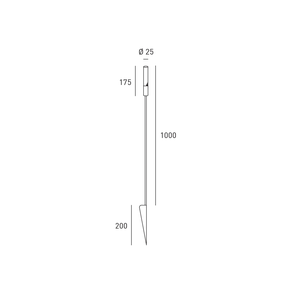 pisa_dls_lighting.webp