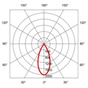 RISP 55