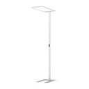 FLOAT LED