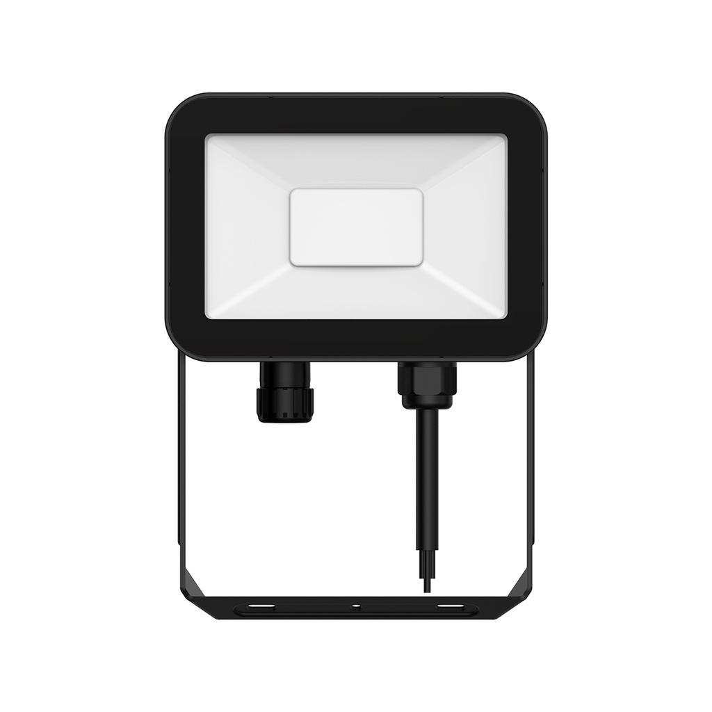 FLOOD LED 30W IP65