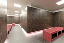 FLAT LED MODUL 300