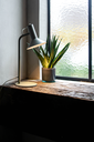 ROOMOR TABLE 1.1