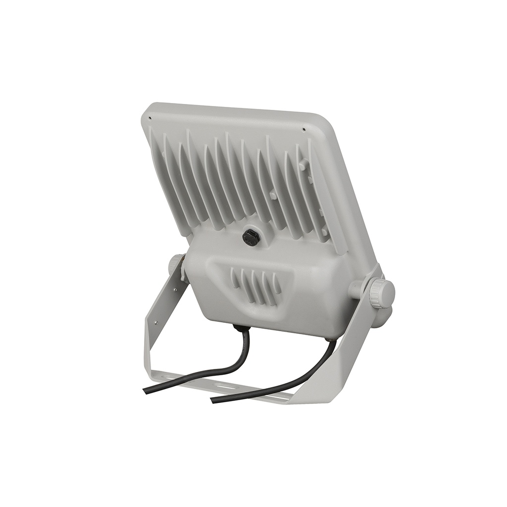 FORTE LED 50W IP66