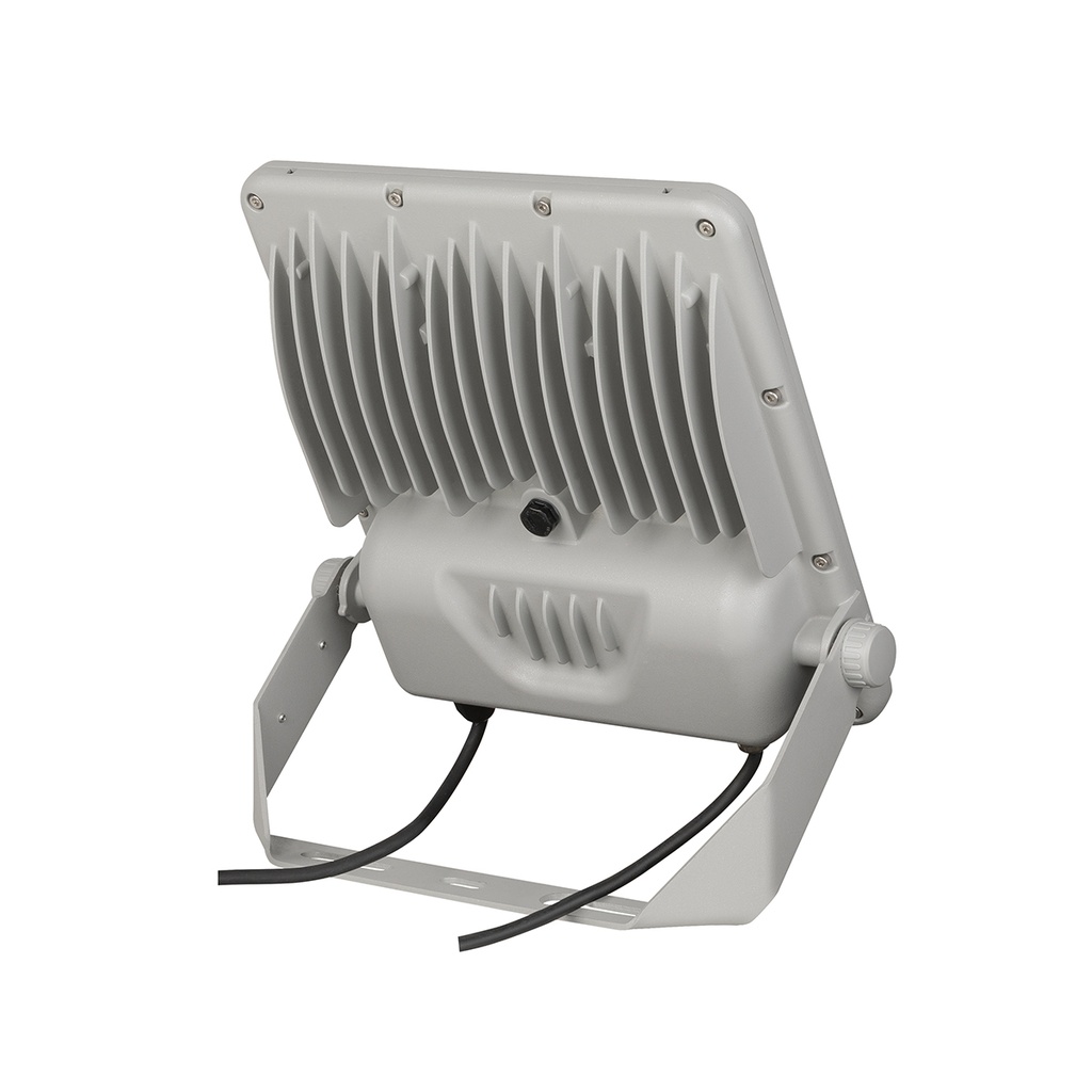 FORTE LED 100W IP66