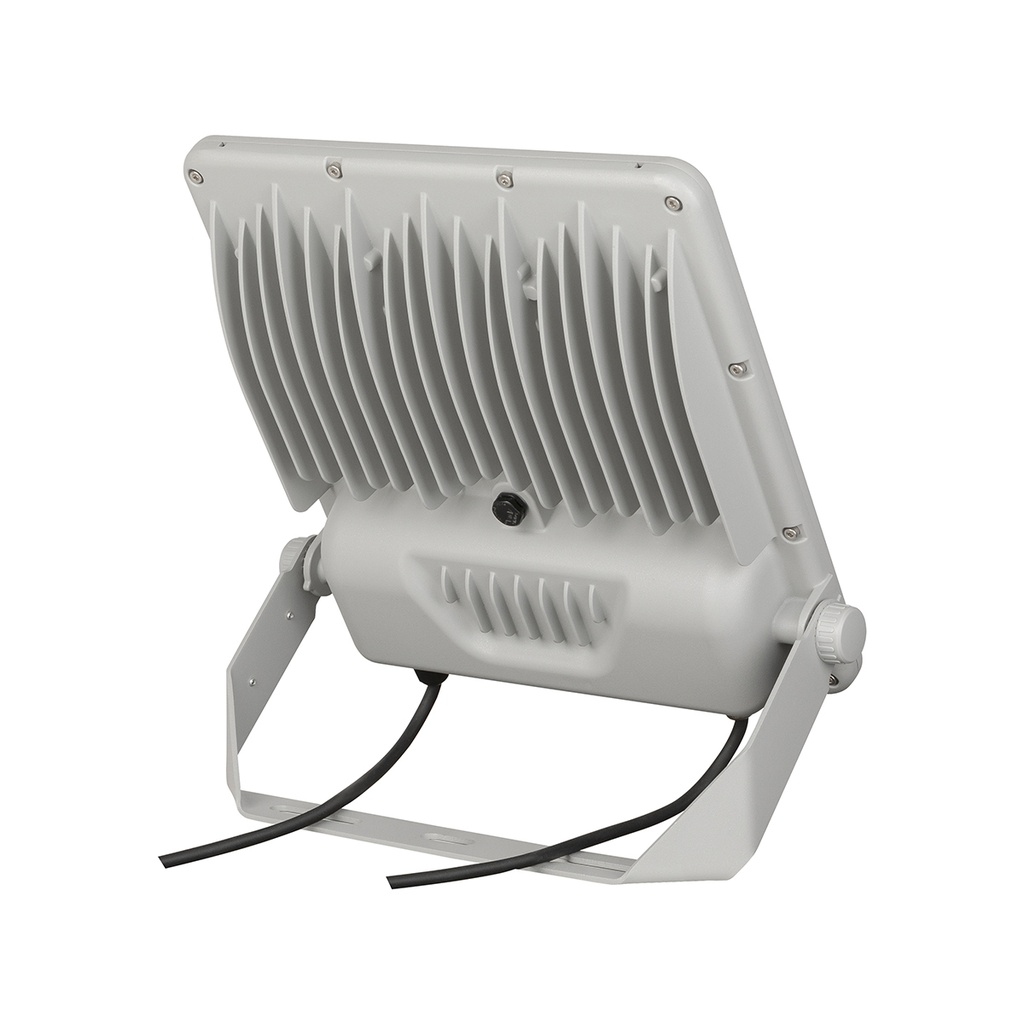 FORTE LED 150W IP66