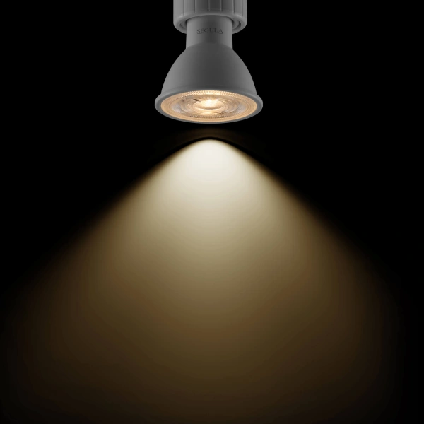 LED SPOT PAR51 38° GU10 6W