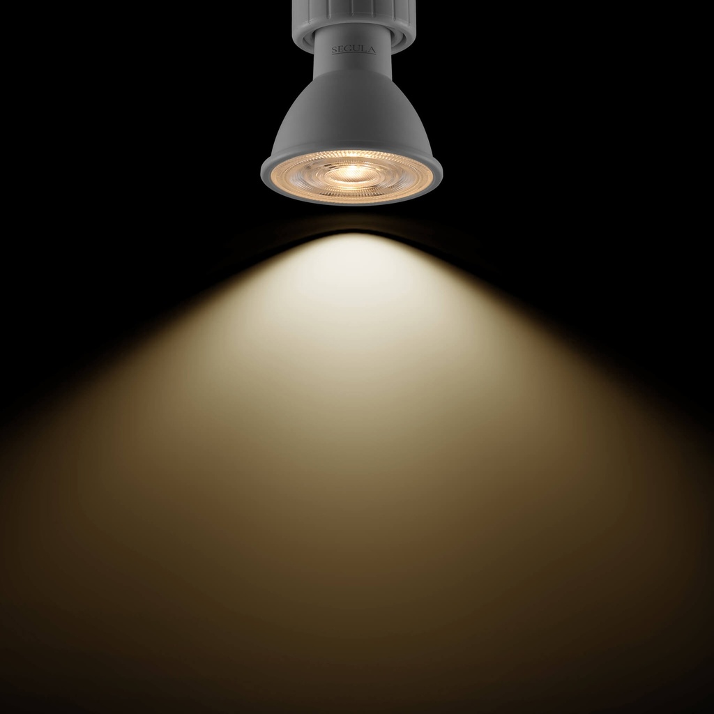 LED SPOT PAR51 60° GU10 6W