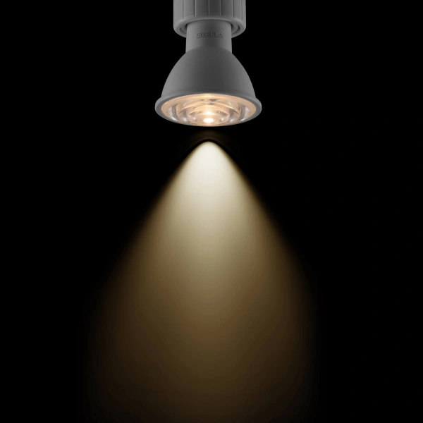 LED SPOT PAR51 10° GU10 6W