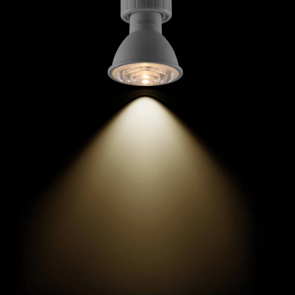 LED SPOT PAR51 24° GU10 6W