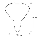 LED REFLECTEUR AMBIENT PAR38 E27 16W 