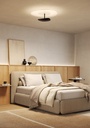 PLETTRO CEILING S