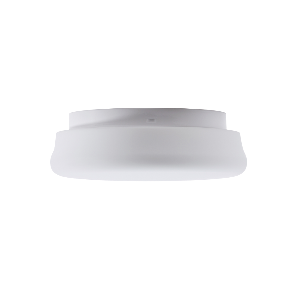RANA Ø 290