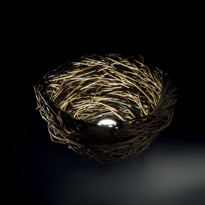 NEST