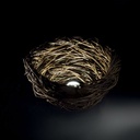 NEST