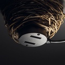 NEST
