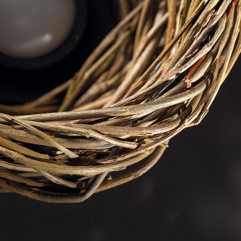 NEST