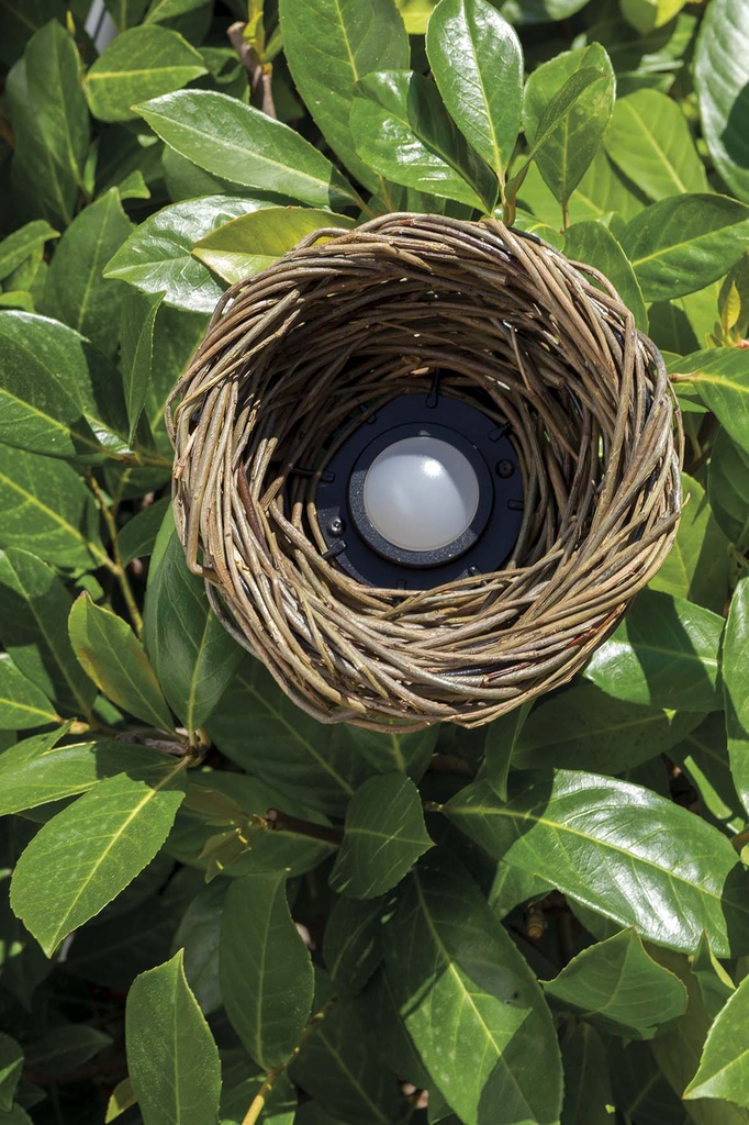 NEST IP65