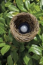 NEST IP65