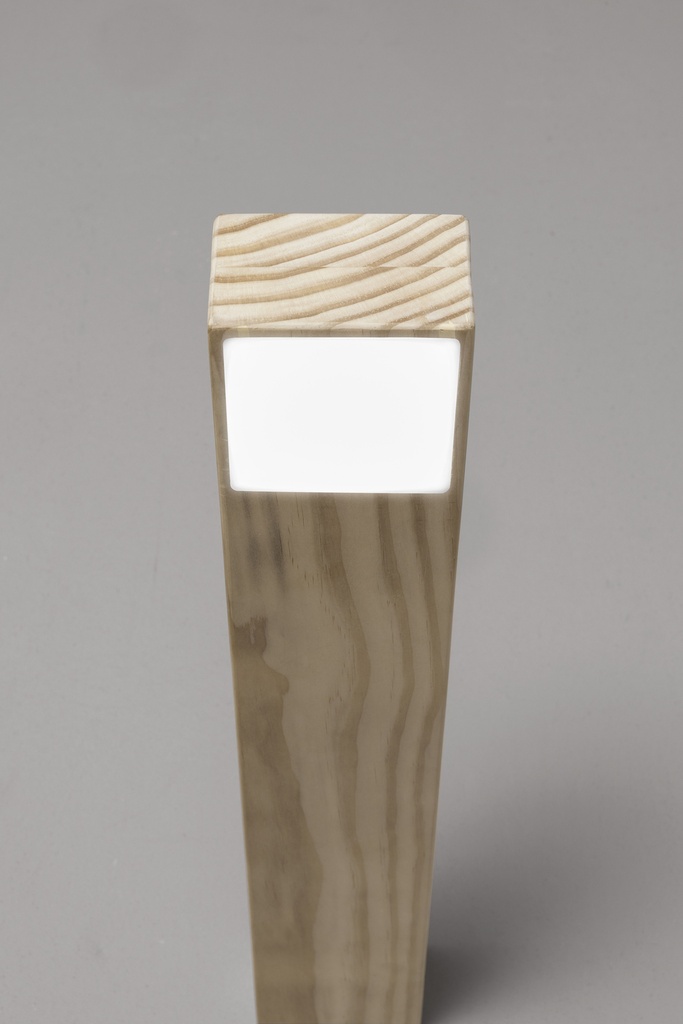 ZYGO BOLLARDS IP65