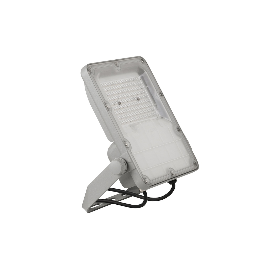 FORTE LED 50W IP66