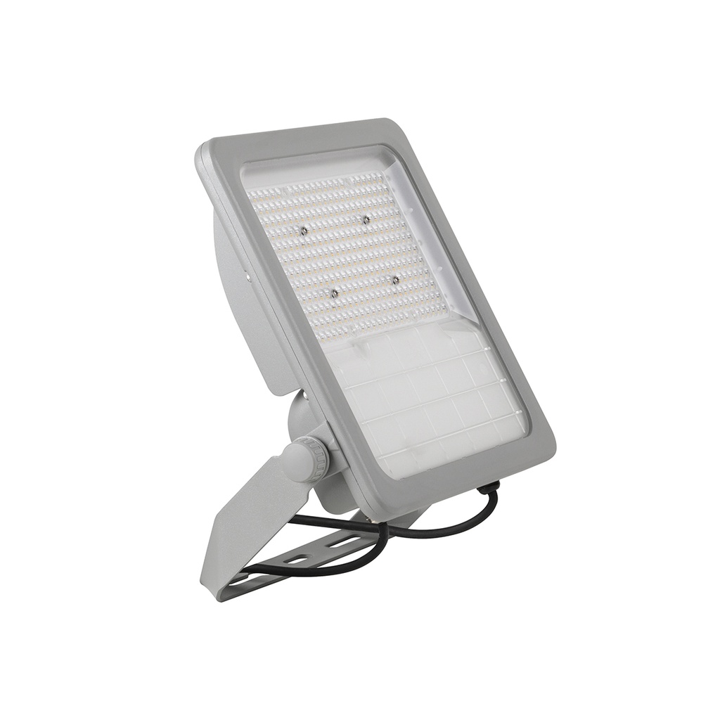 FORTE LED 100W IP66