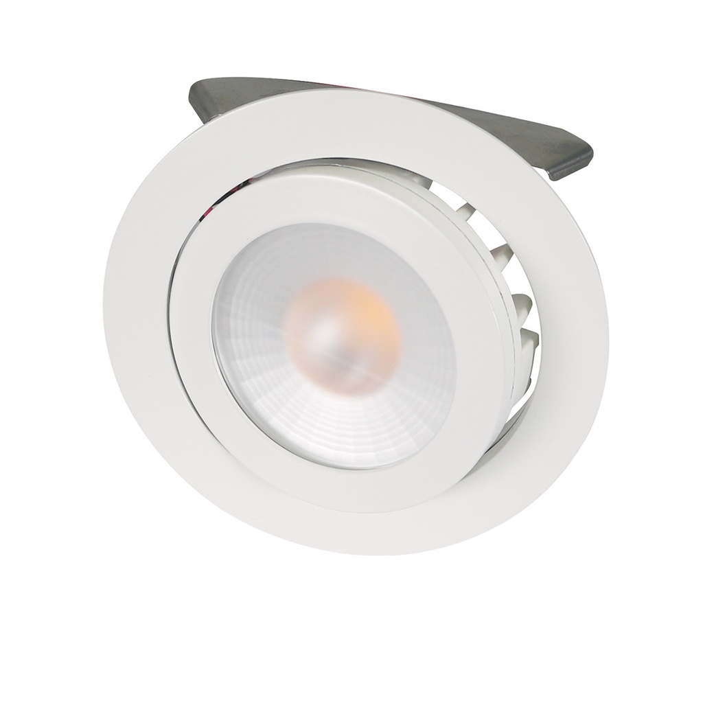 VARIO LED 260MA ORIENTABLE  Ø 68MM