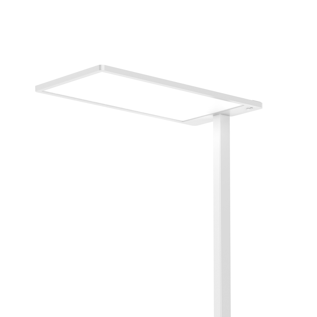 FLOAT LED