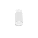 TRACE 1.0